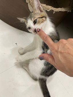 thumb-8