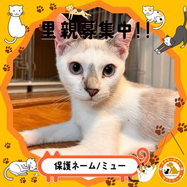 ミュー