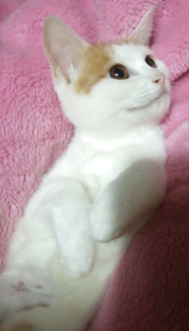 名無しちゃんの写真