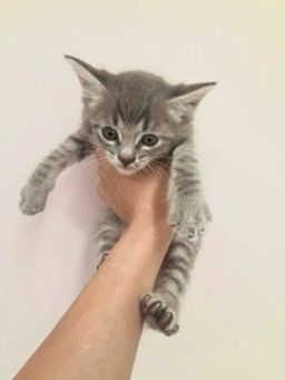 thumb-6
