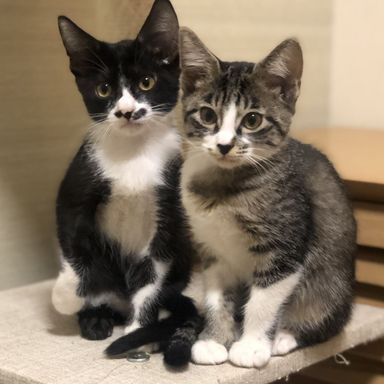 オアフ&ラナイの写真