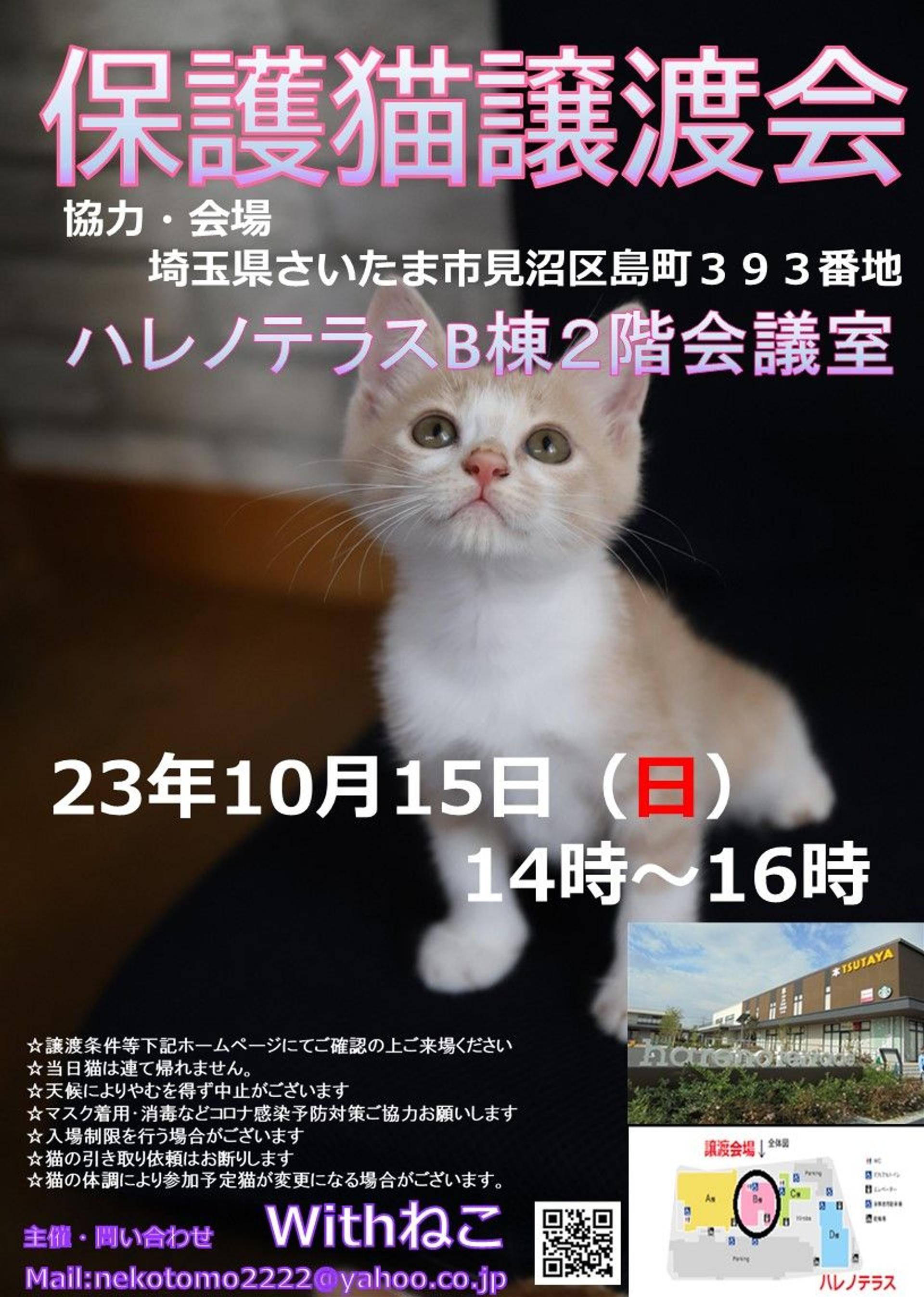 pet-image-8