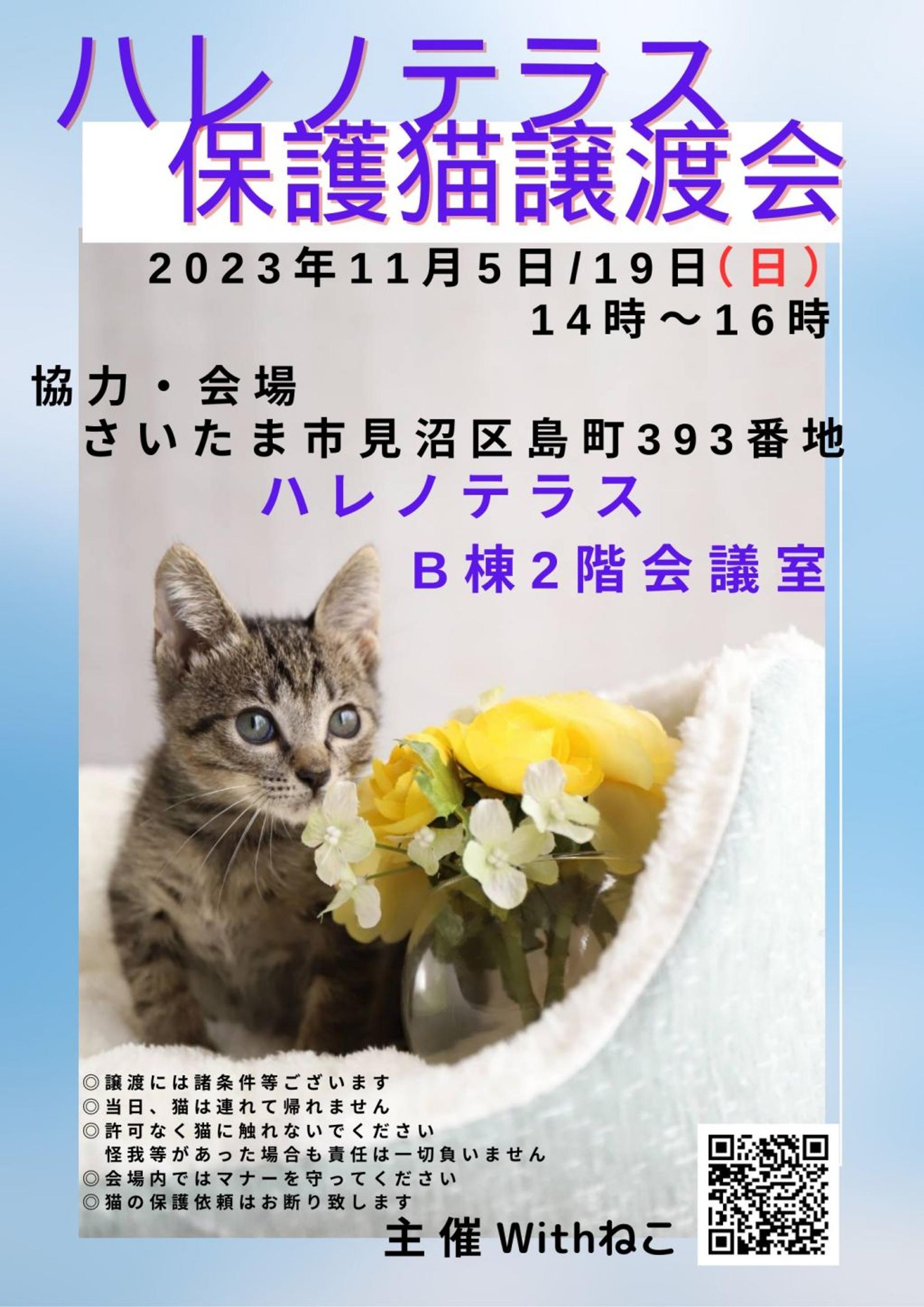 pet-image-10