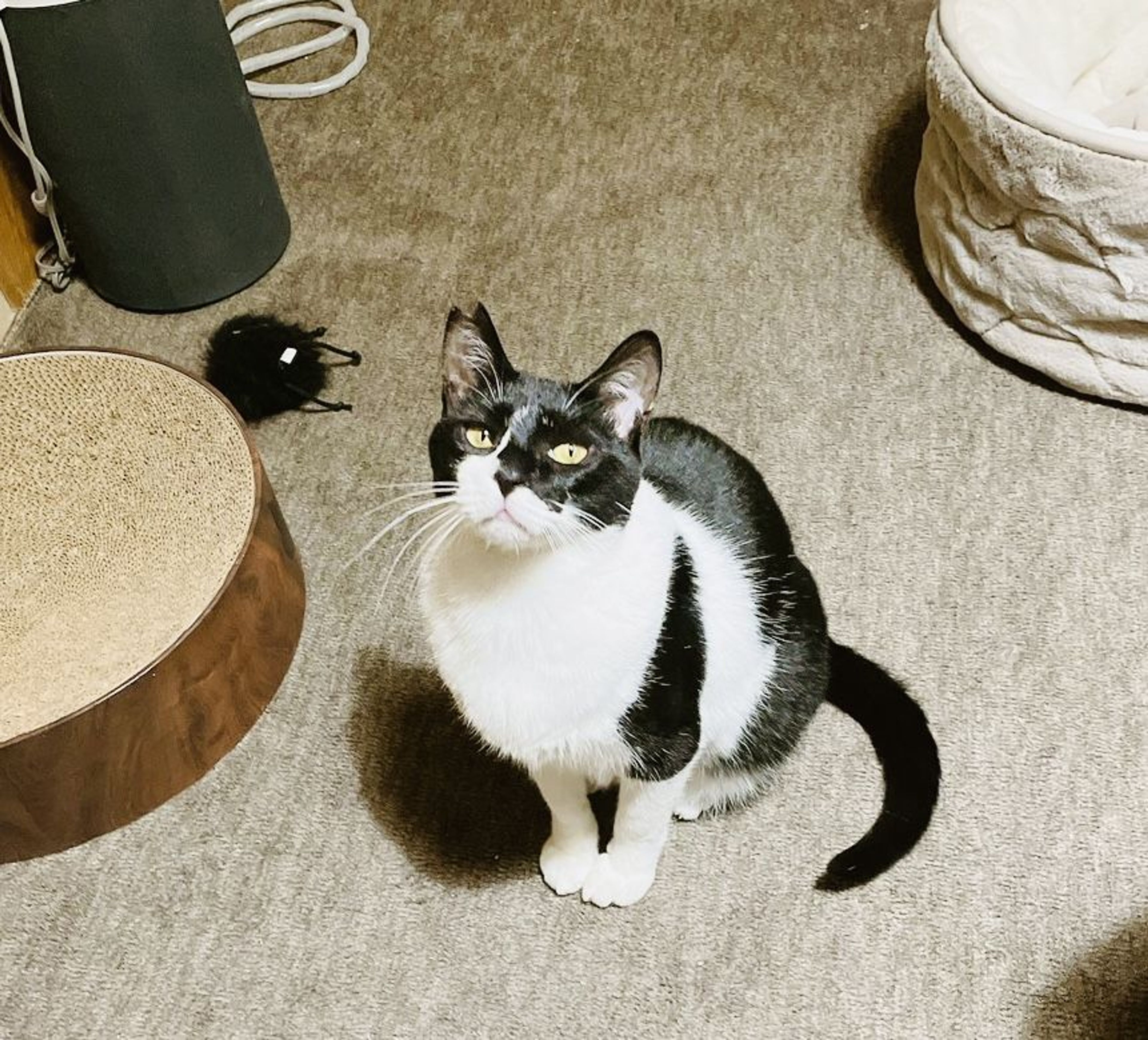 image-6