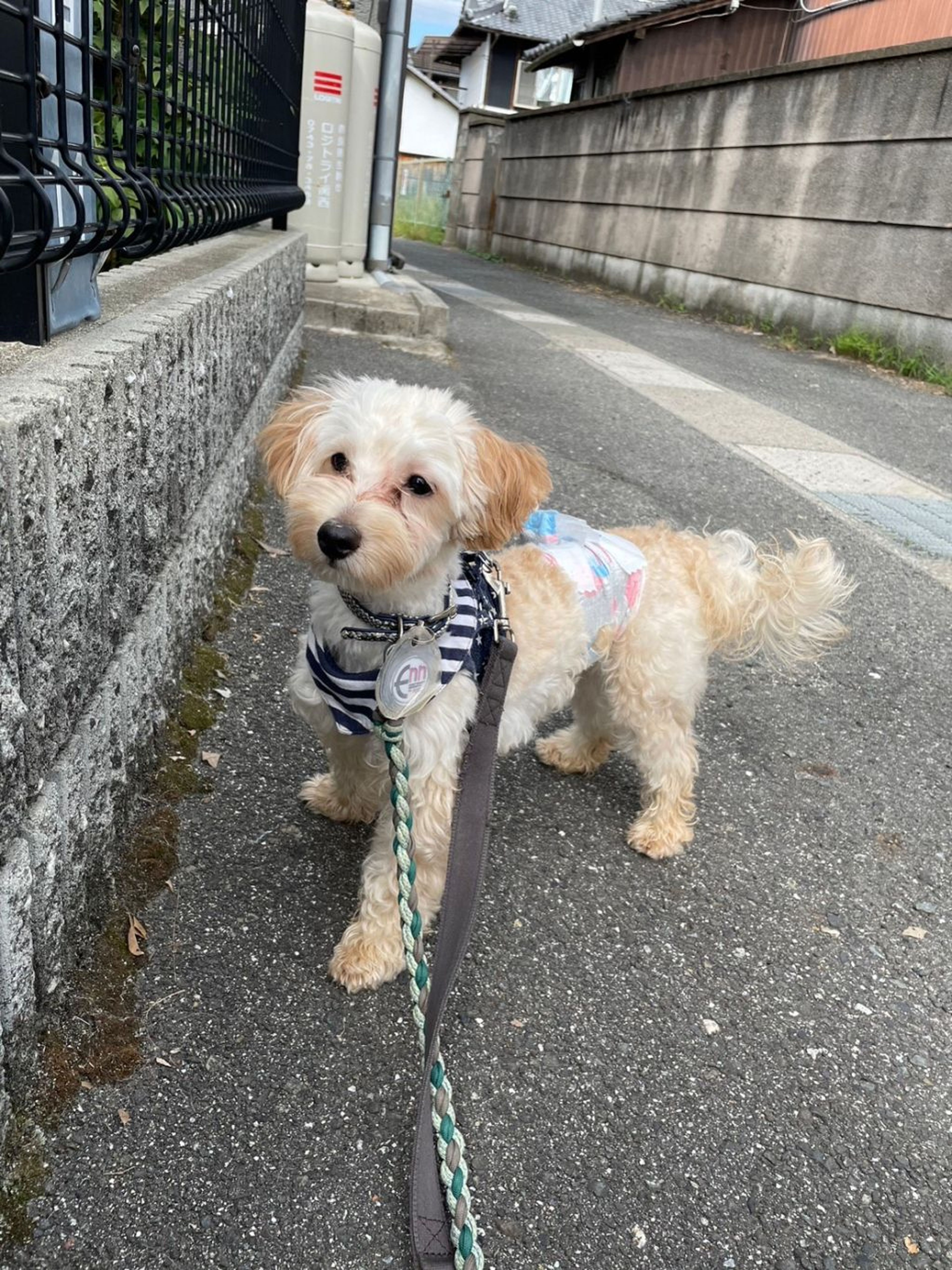 image-8