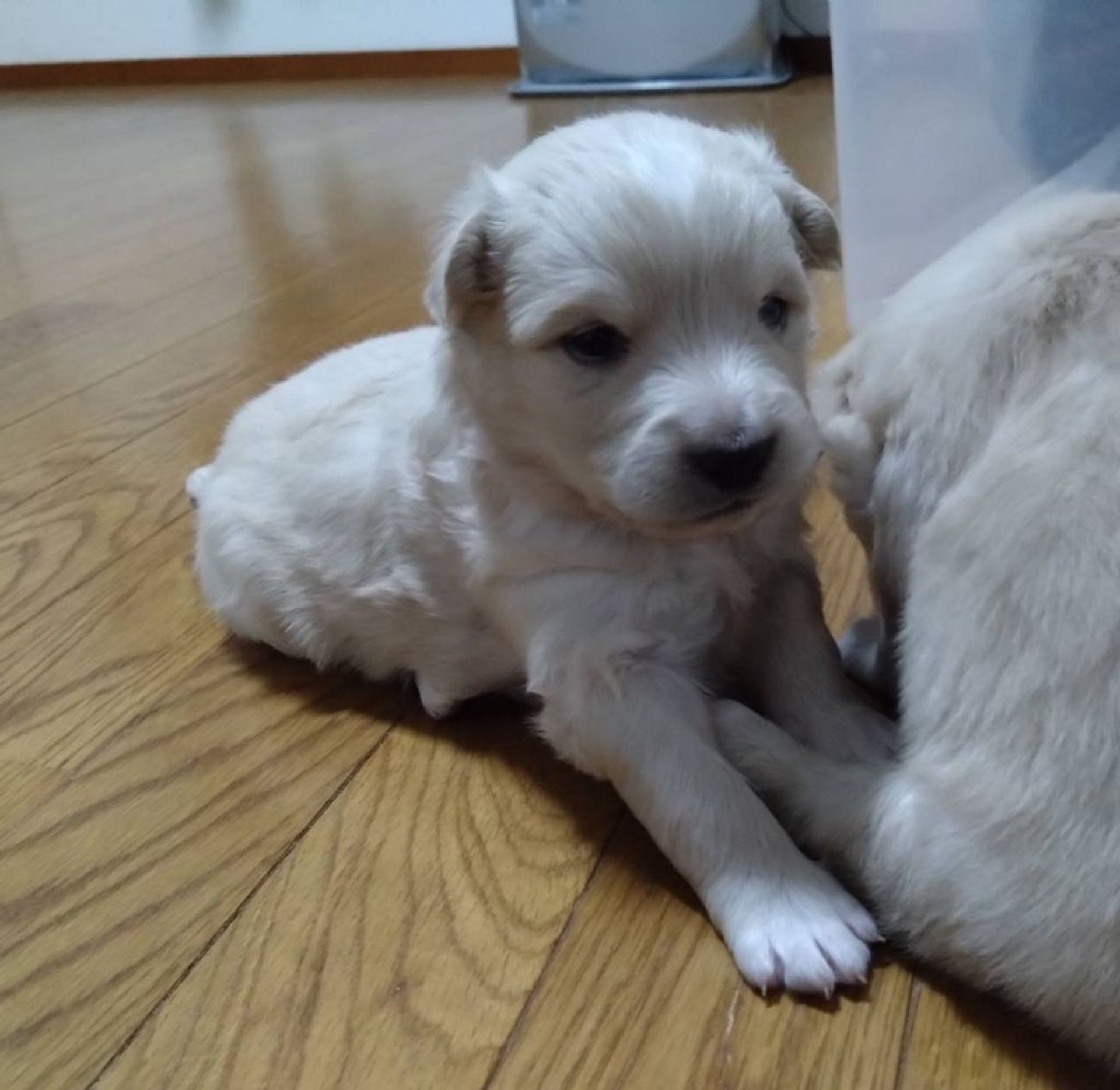 thumbnail-4