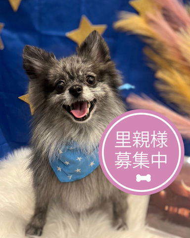 たんざわの写真