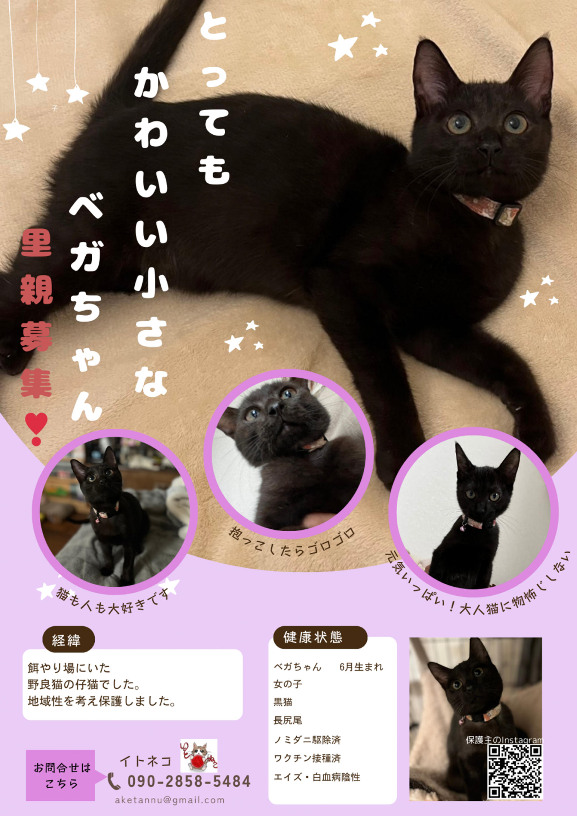 pet-image-7