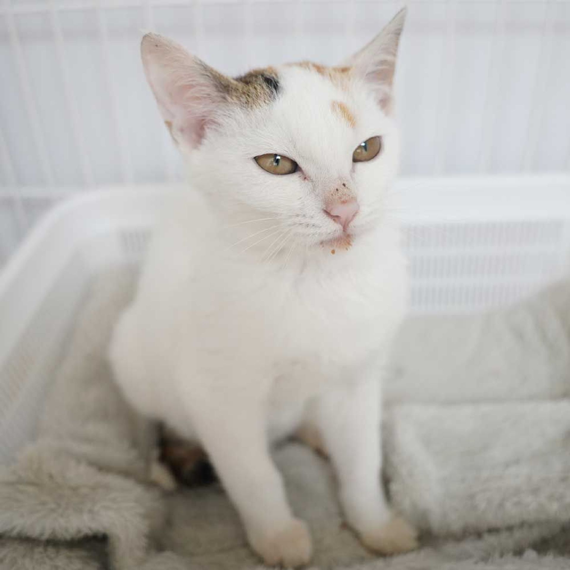 thumbnail-7