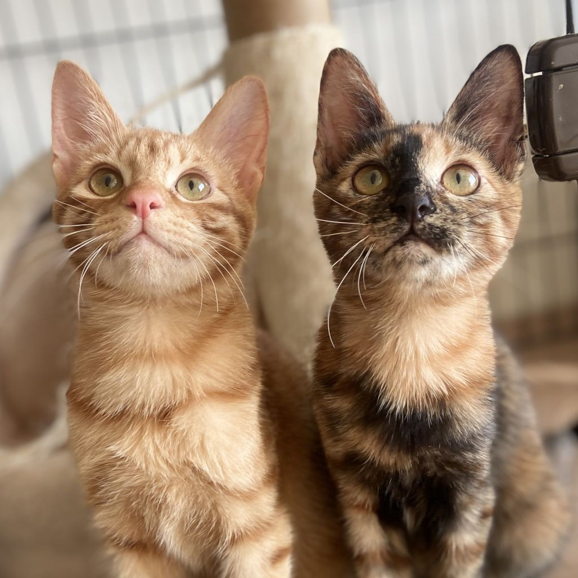 thumbnail-8