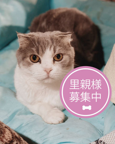 がんねの写真