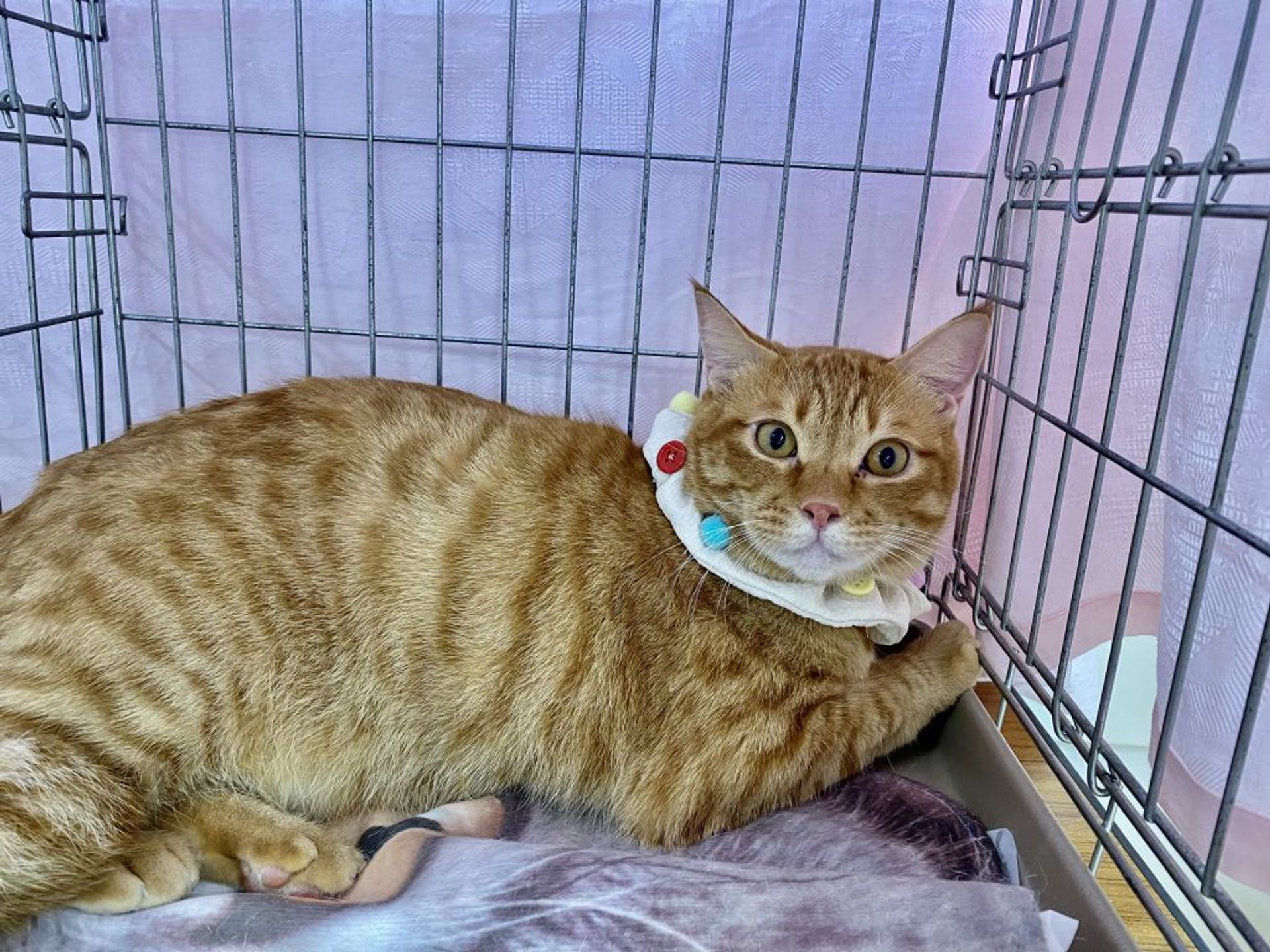 thumbnail-3