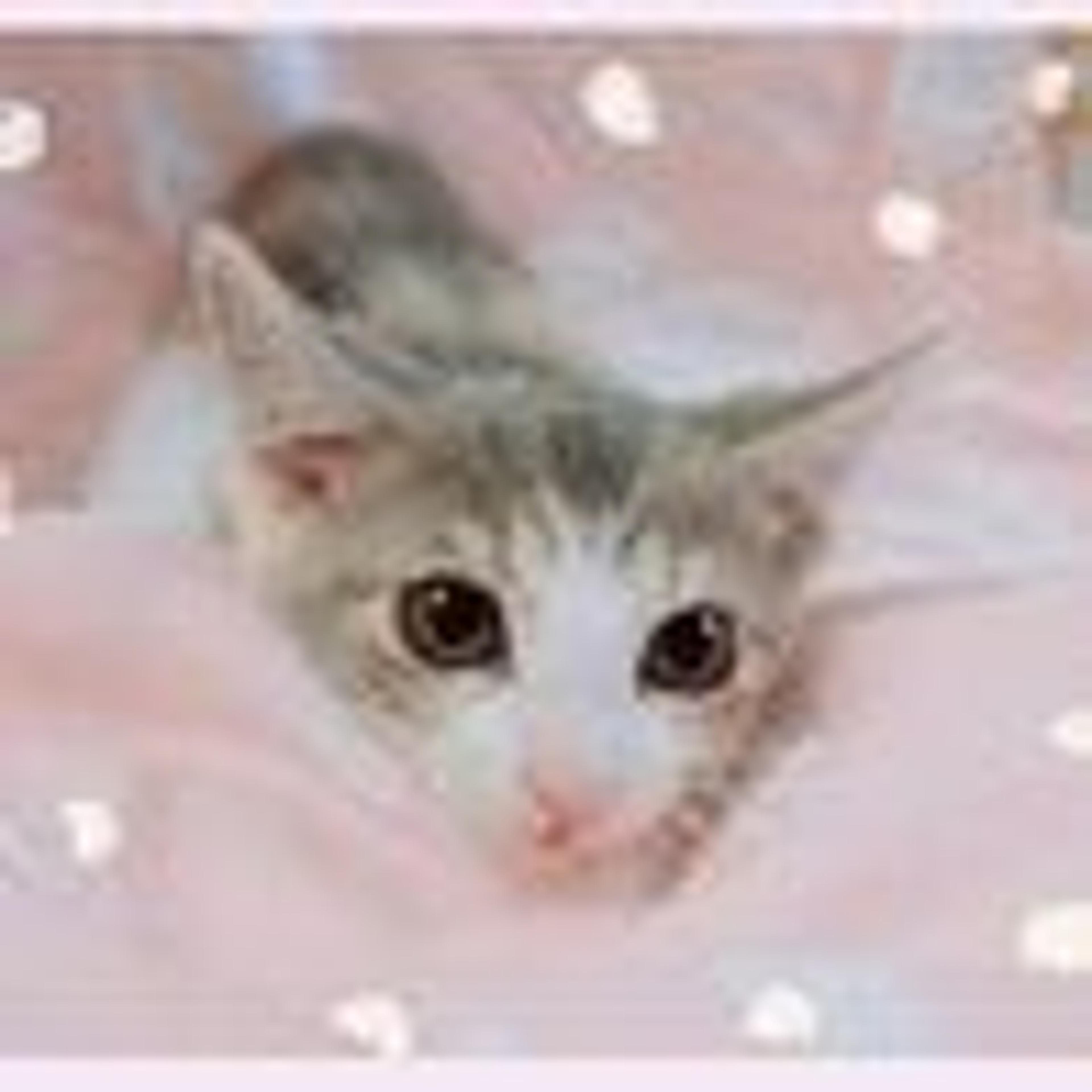 pet-image-5