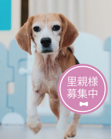 エポワス