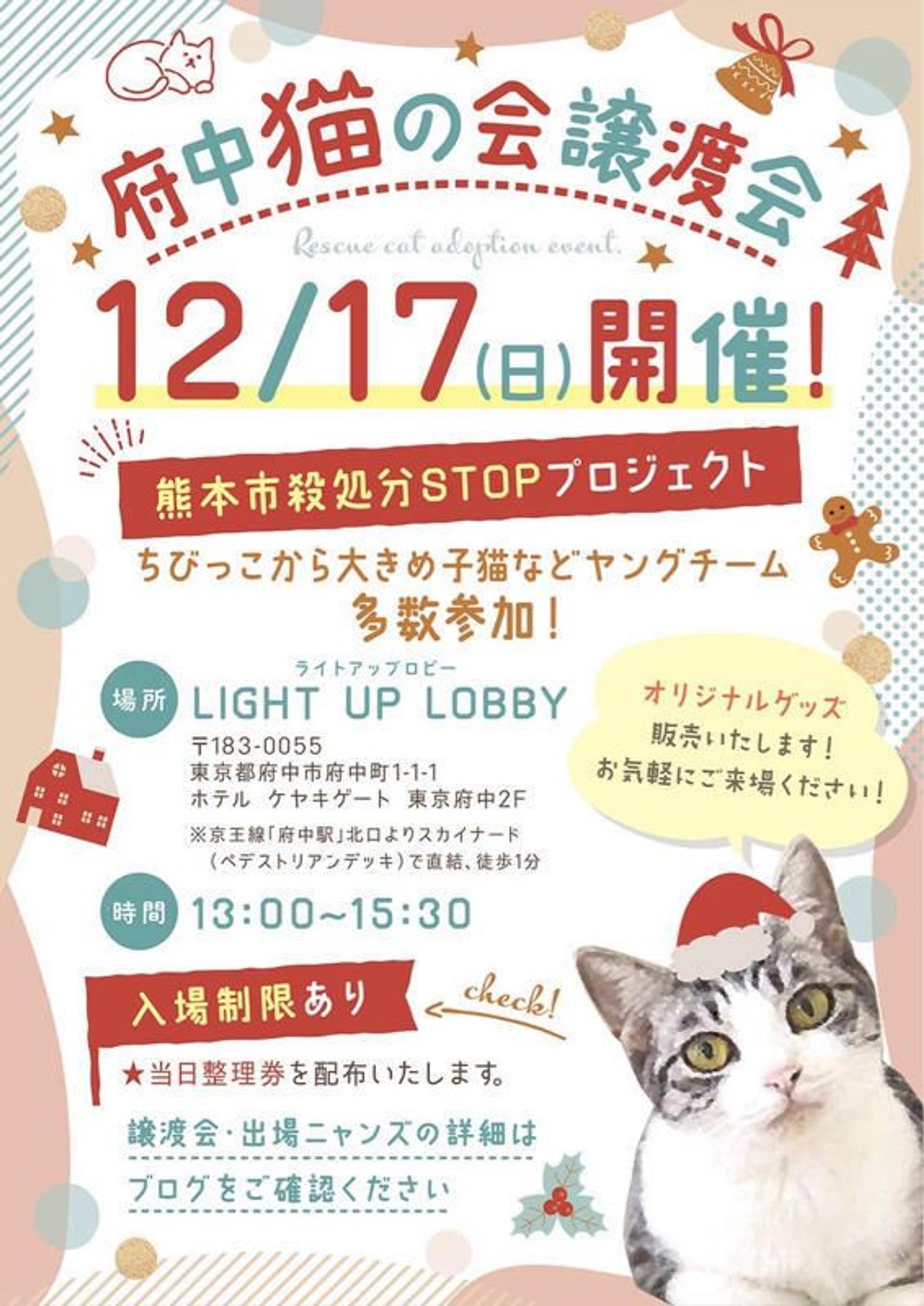 pet-image-6