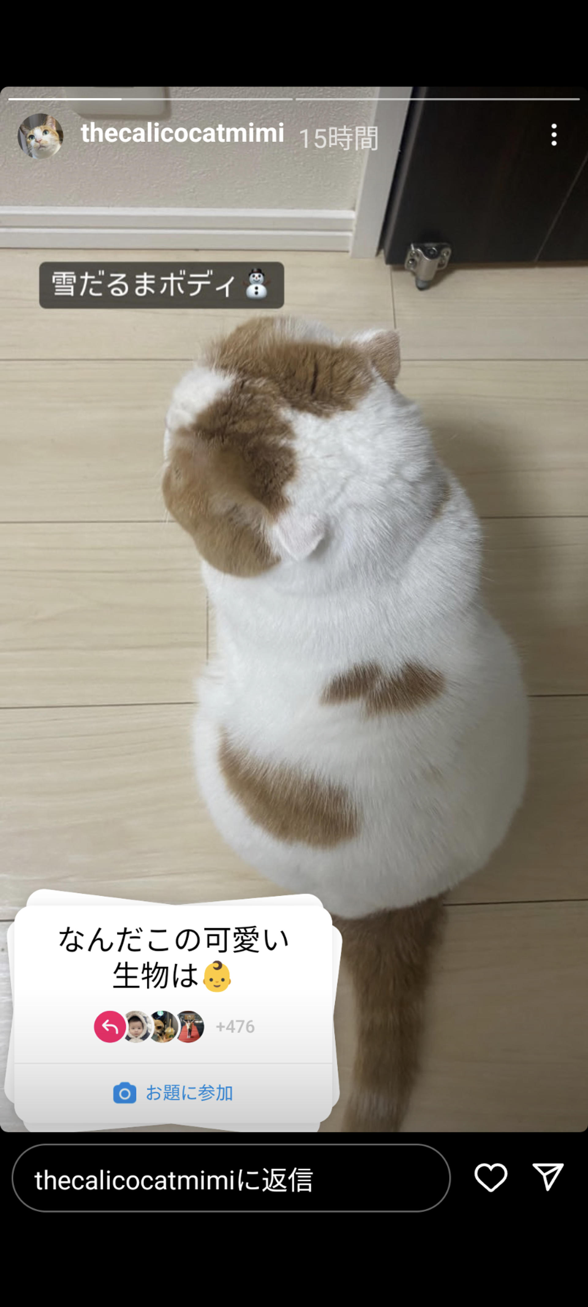 pet-image-2