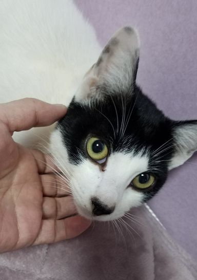 カリブの写真