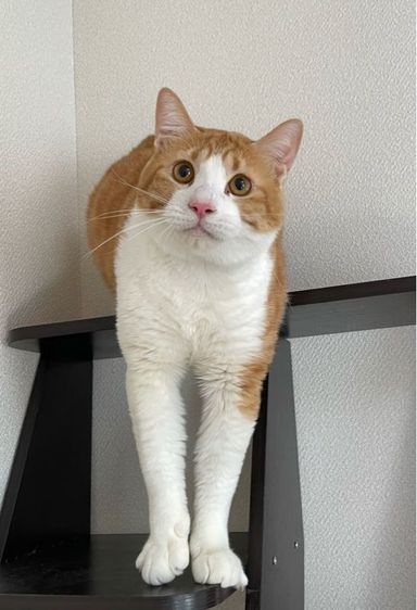 いそろくの写真