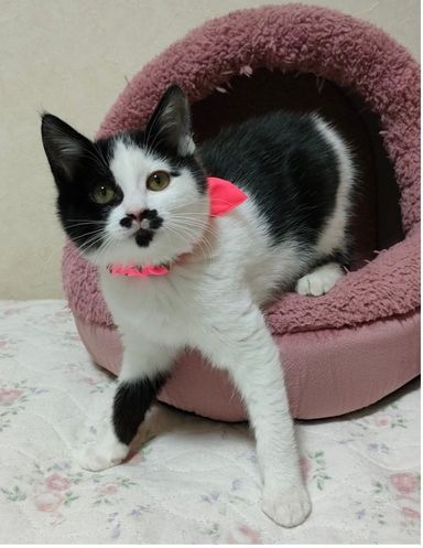 ジェニーちゃん