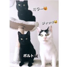 thumb-5