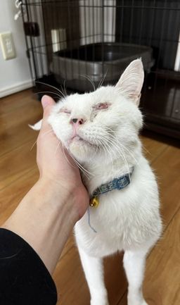 thumb-6