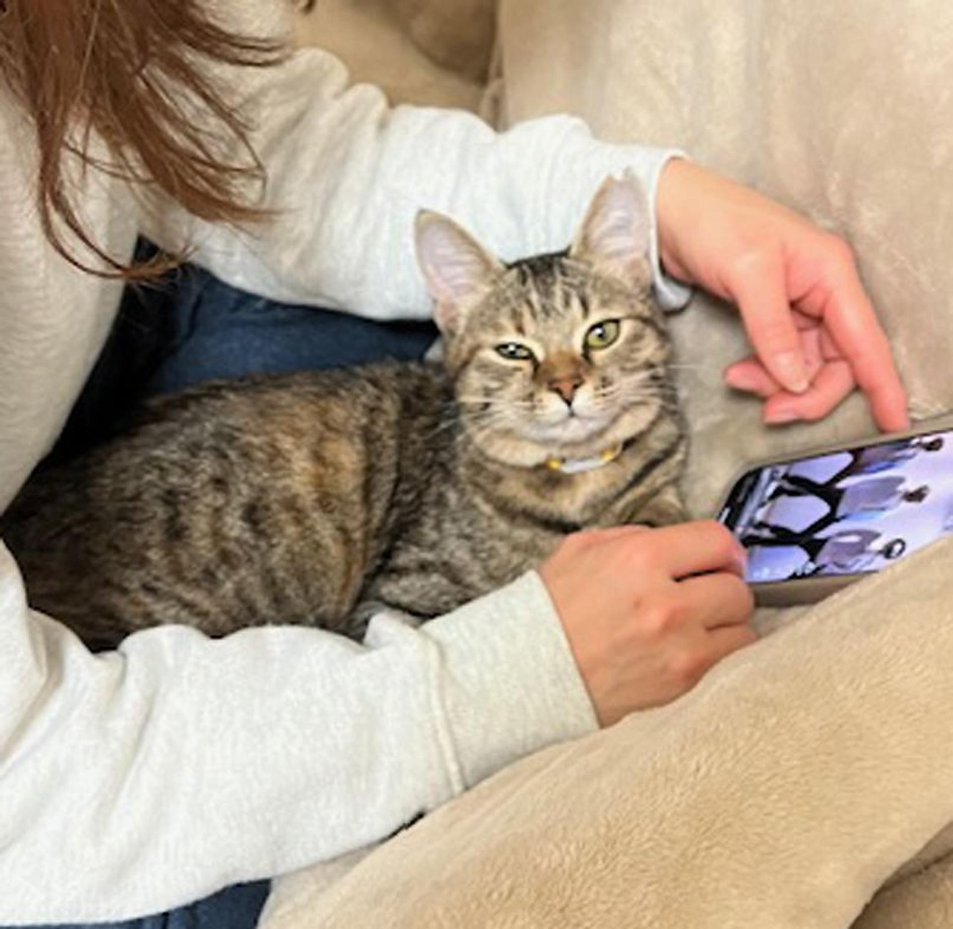 pet-image-2