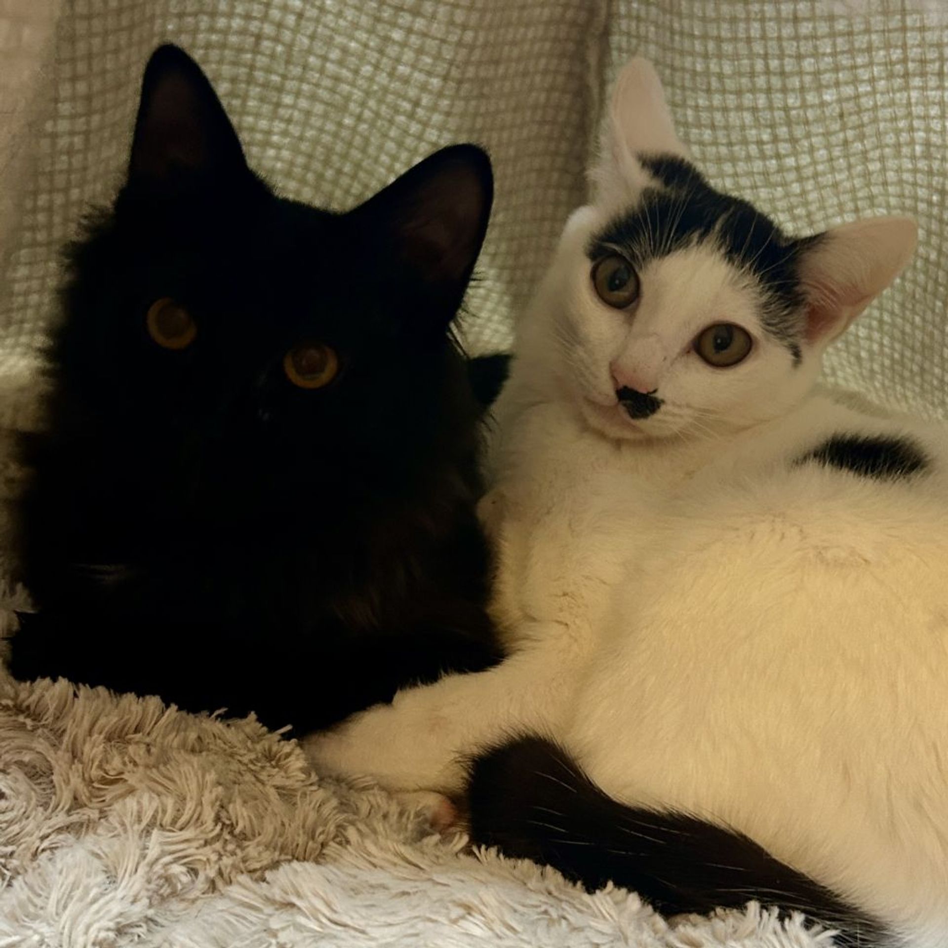 thumbnail-7