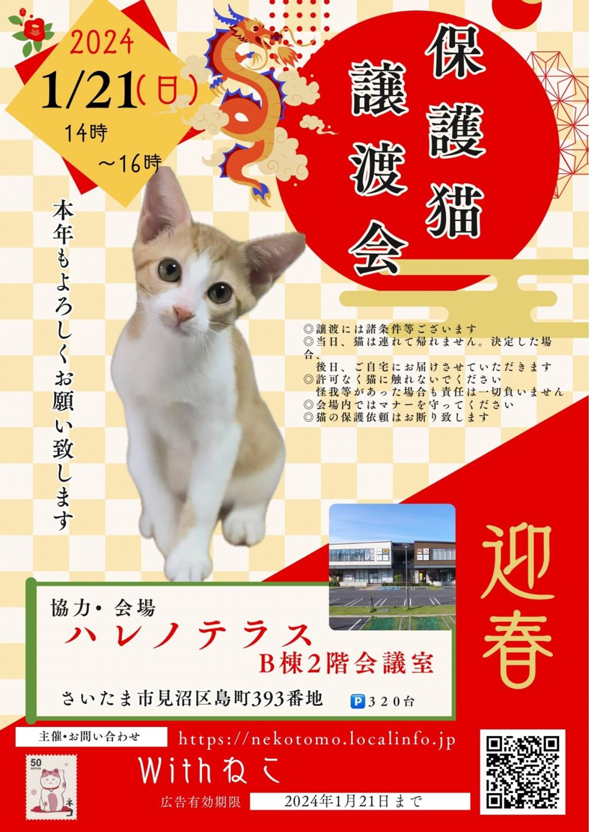 pet-image-8