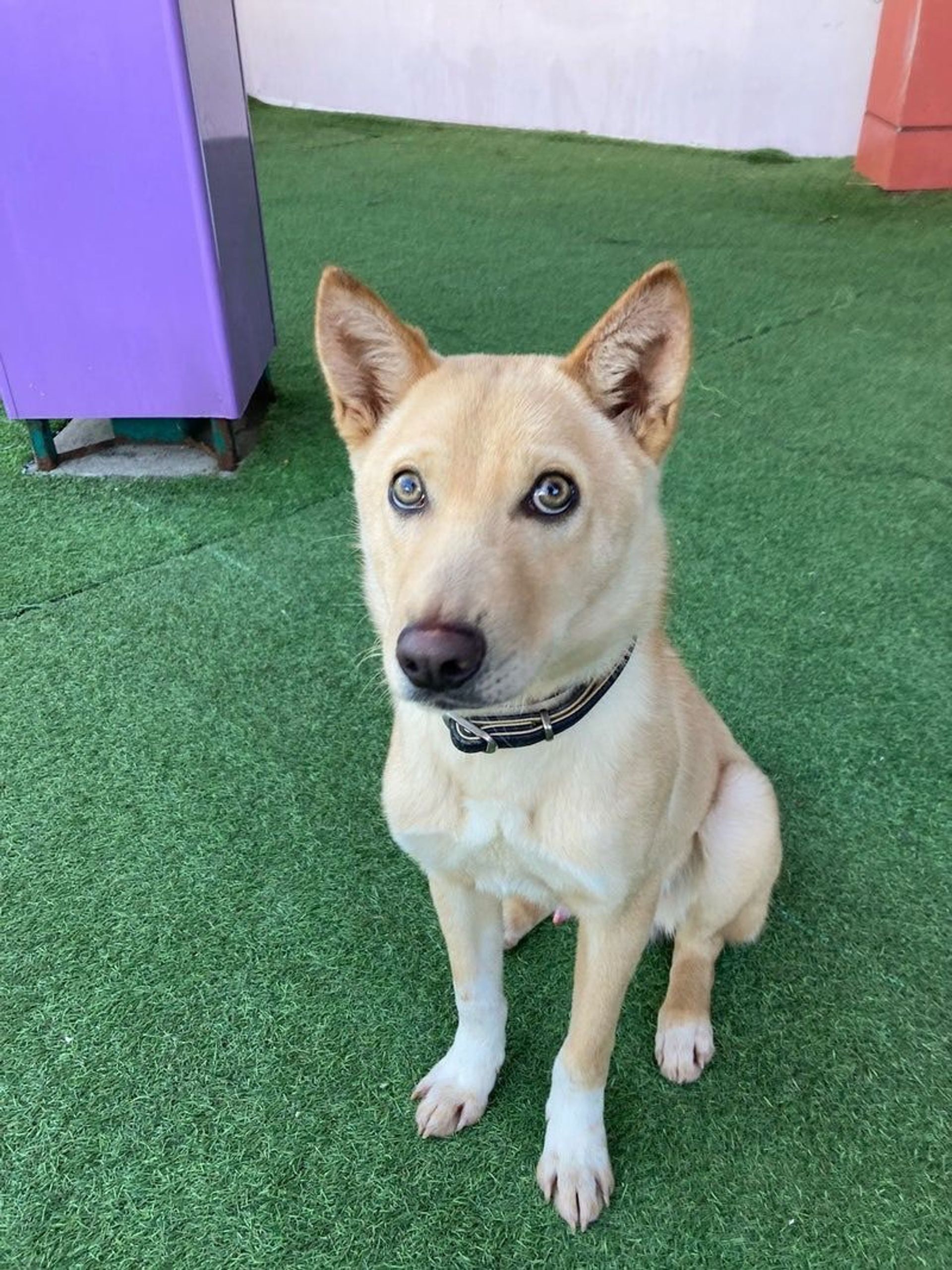 thumbnail-3