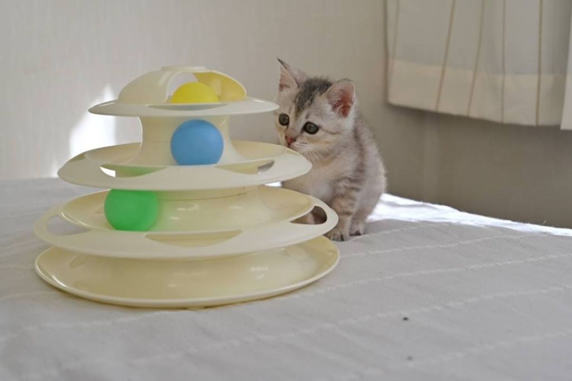 thumbnail-7