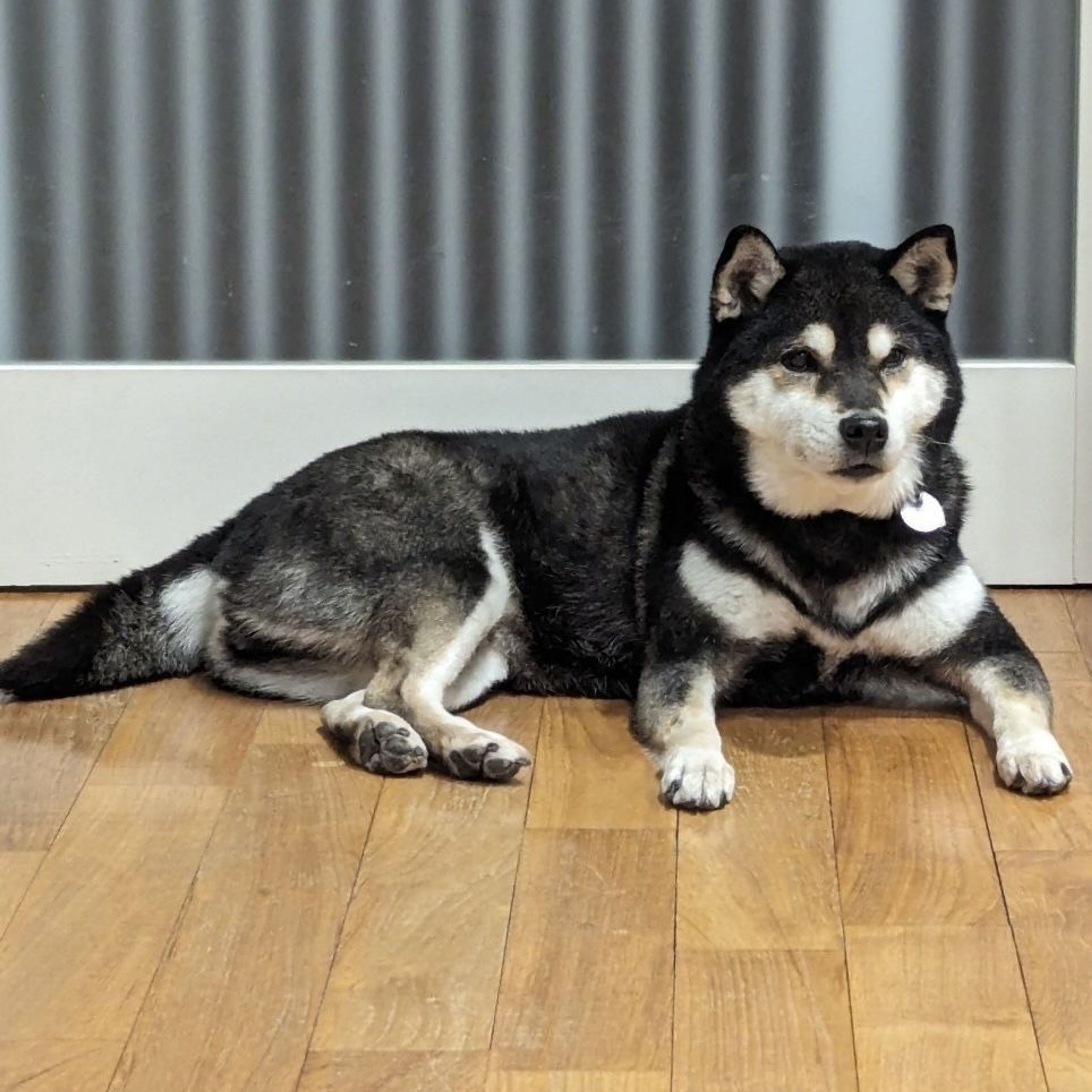 image-5