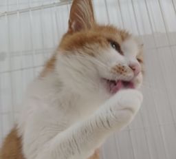 thumb-3