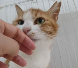 thumb-5