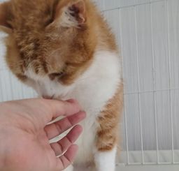thumb-6