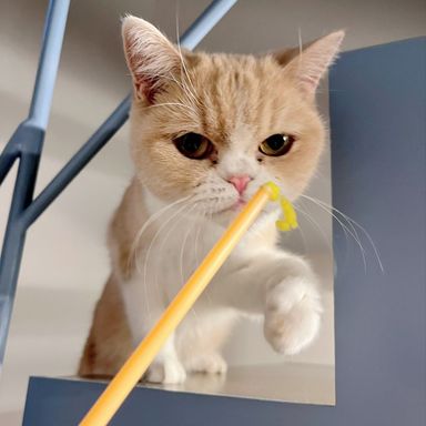 ちーかまの写真