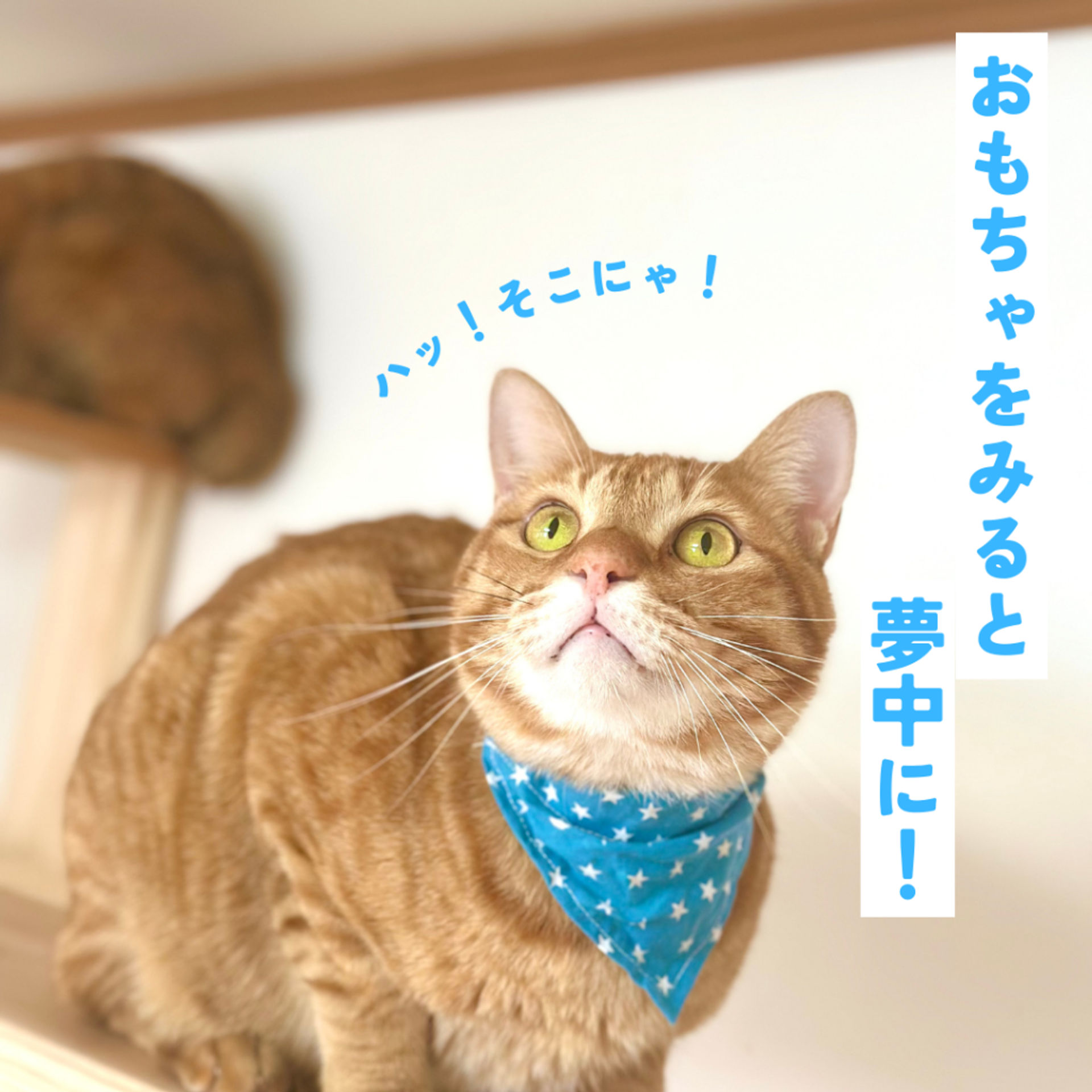 thumbnail-4
