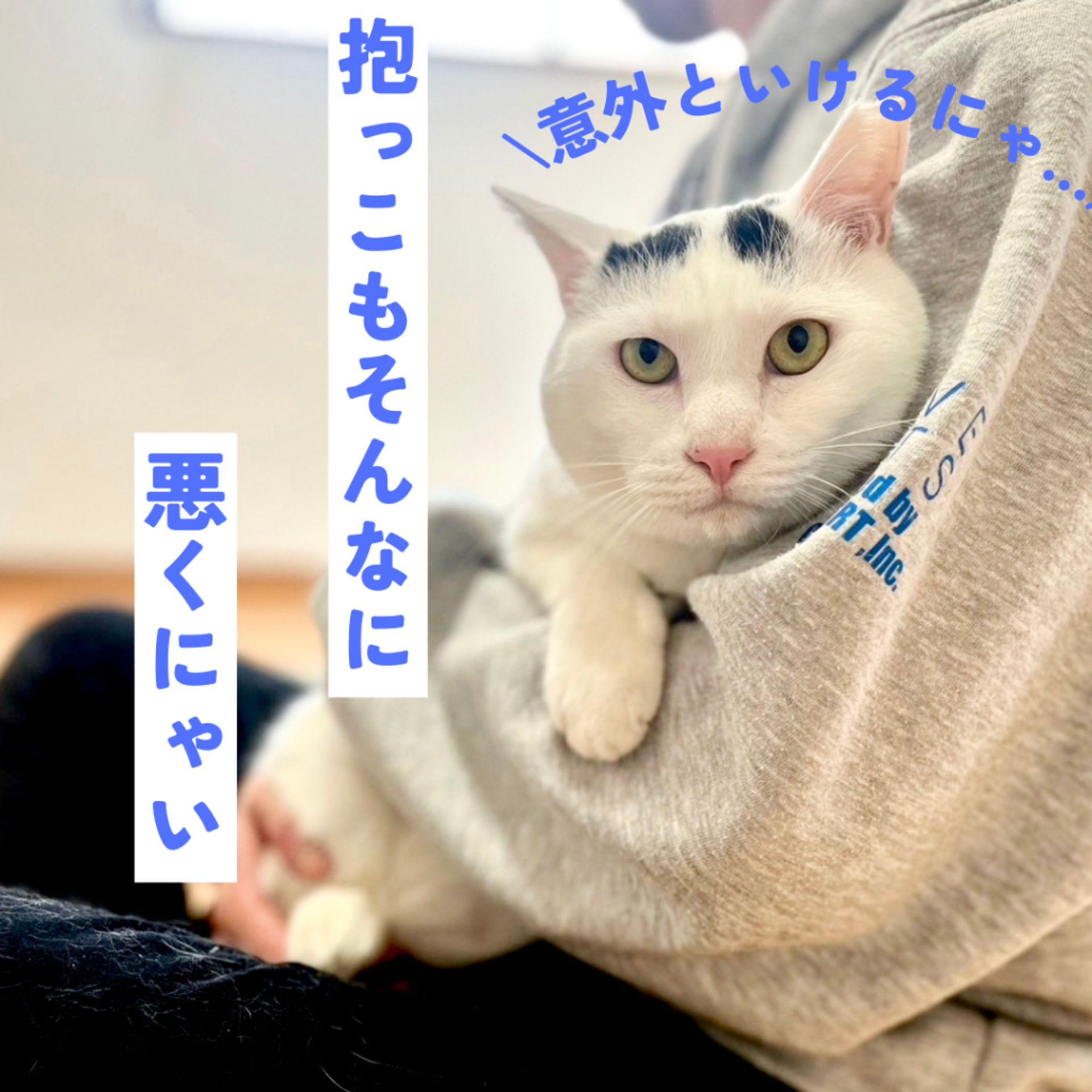 thumbnail-5