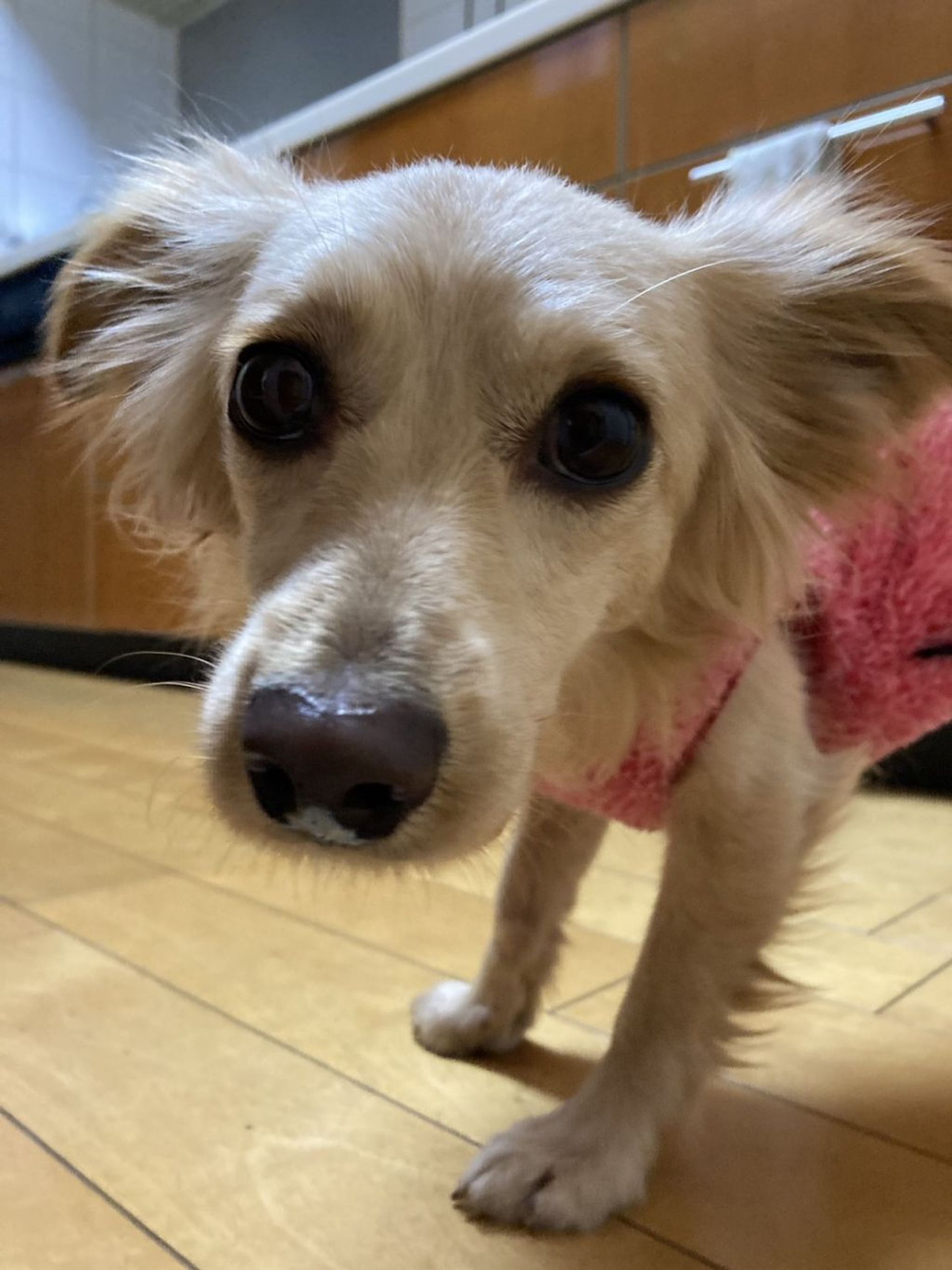 thumbnail-8