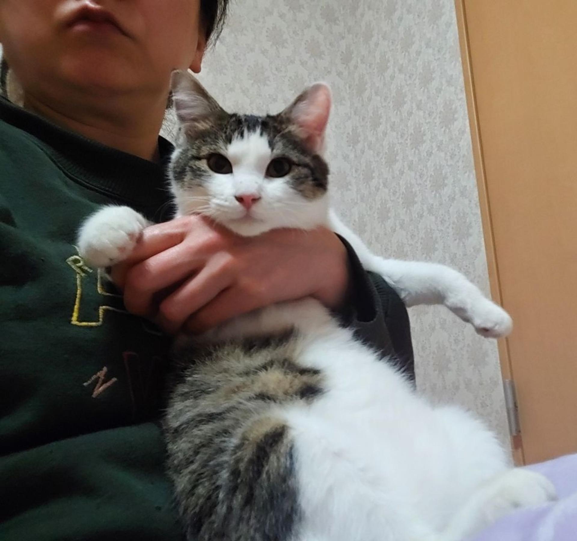 pet-image-3