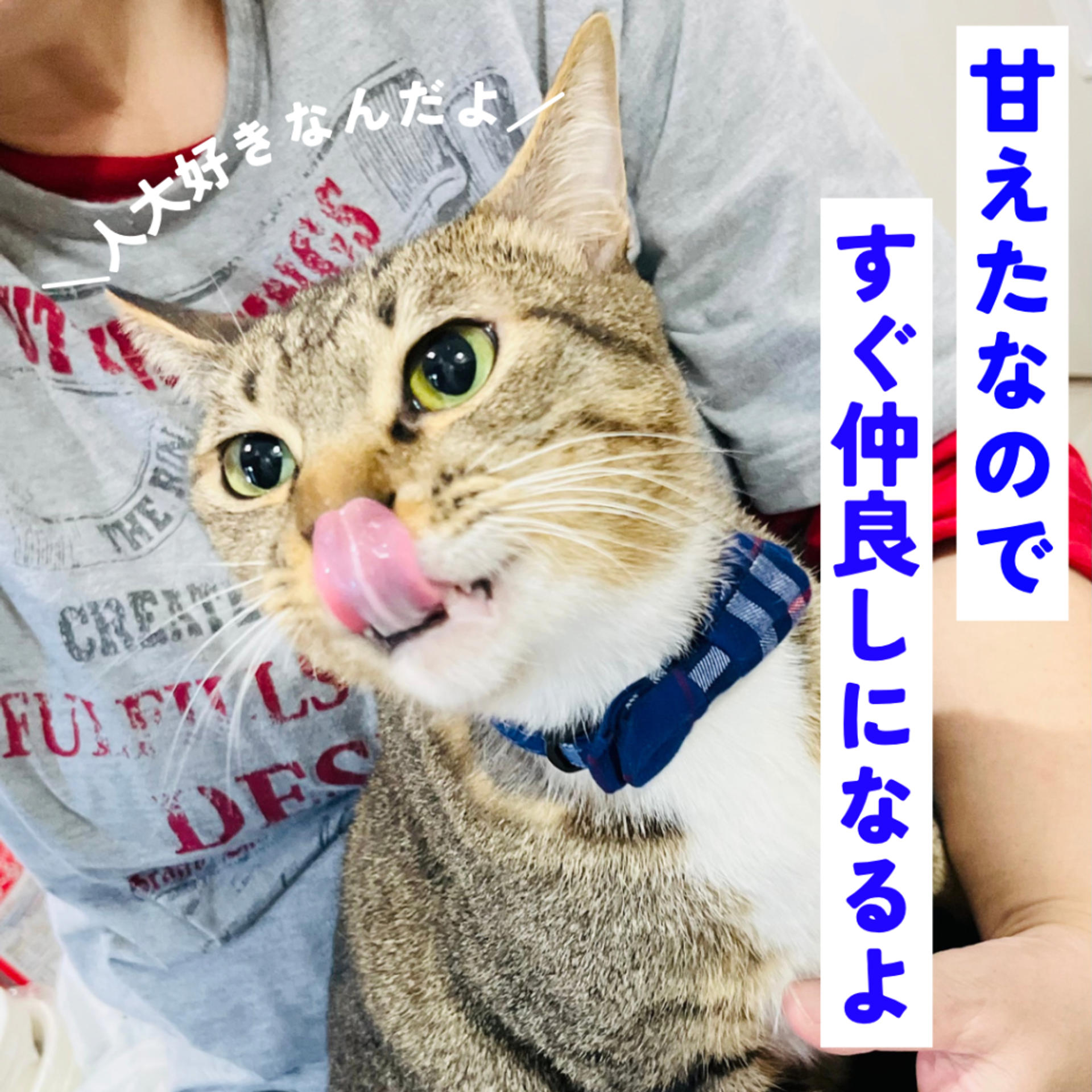pet-image-5