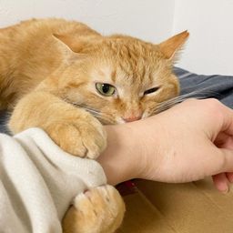 thumb-2
