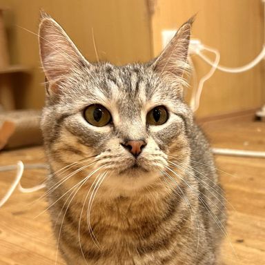 ダンの写真
