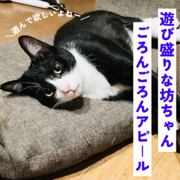 thumb-5