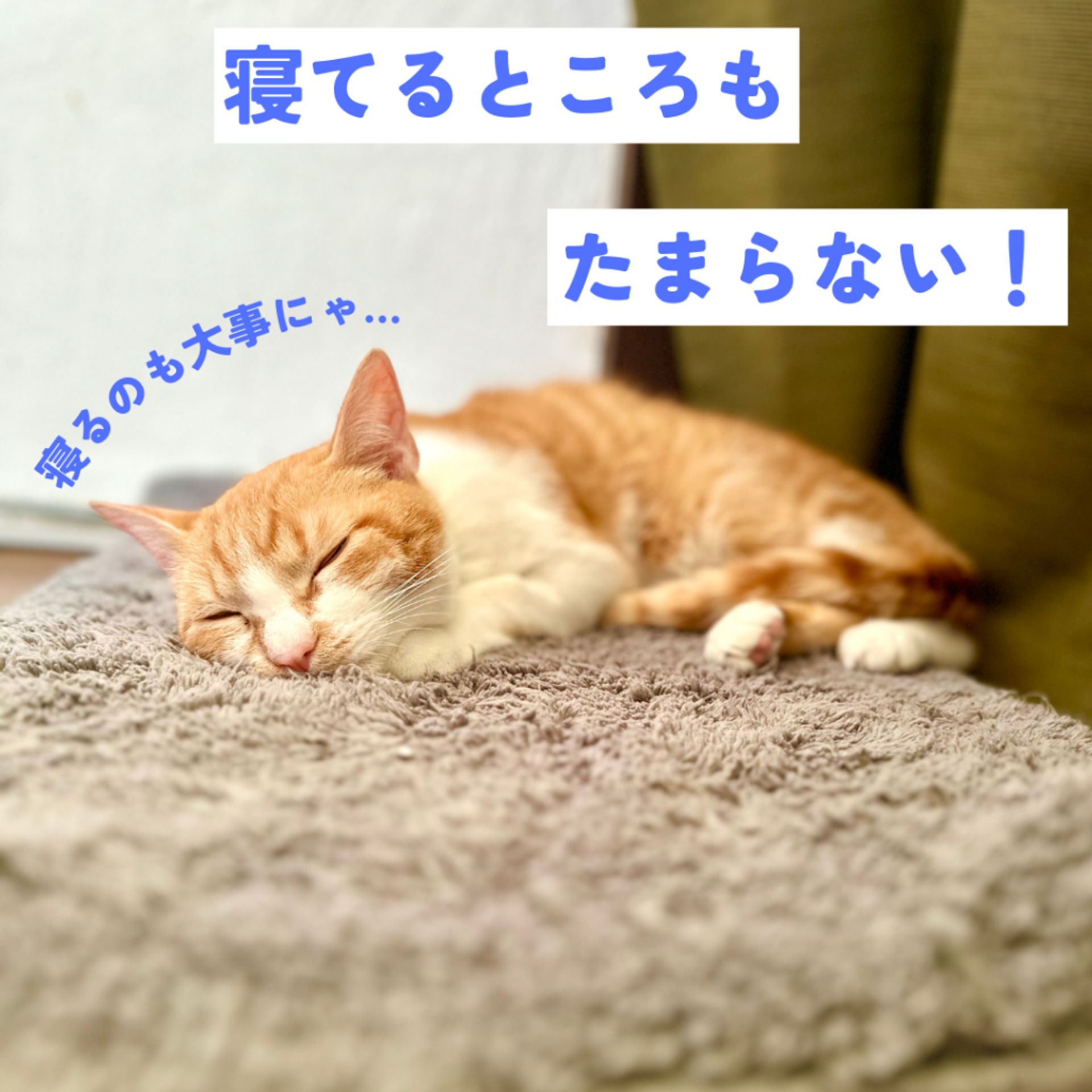 thumbnail-7