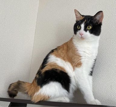 ひびきの写真