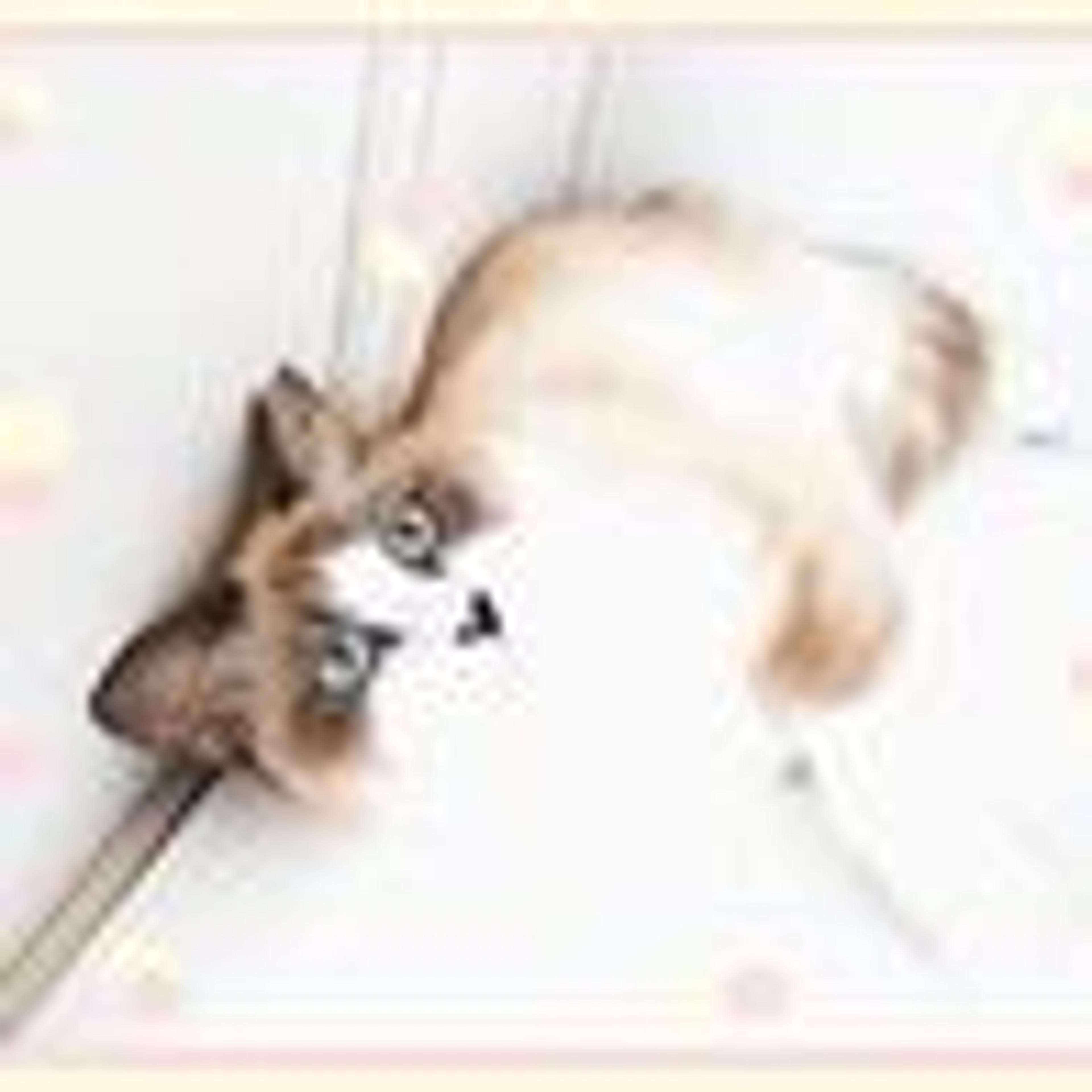 pet-image-5
