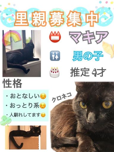 マキアの写真