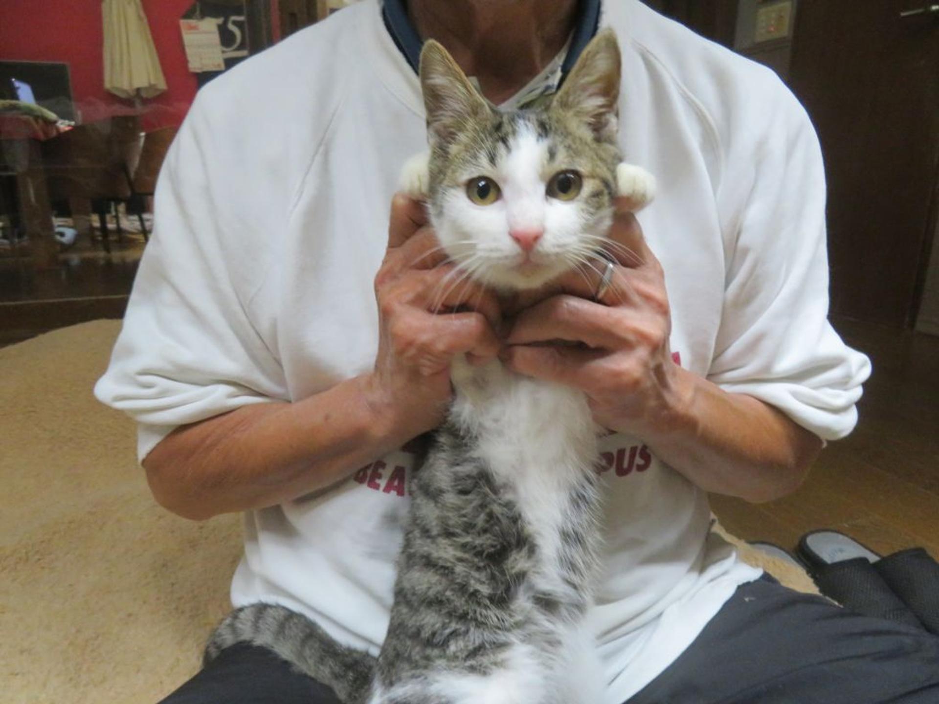 pet-image-3