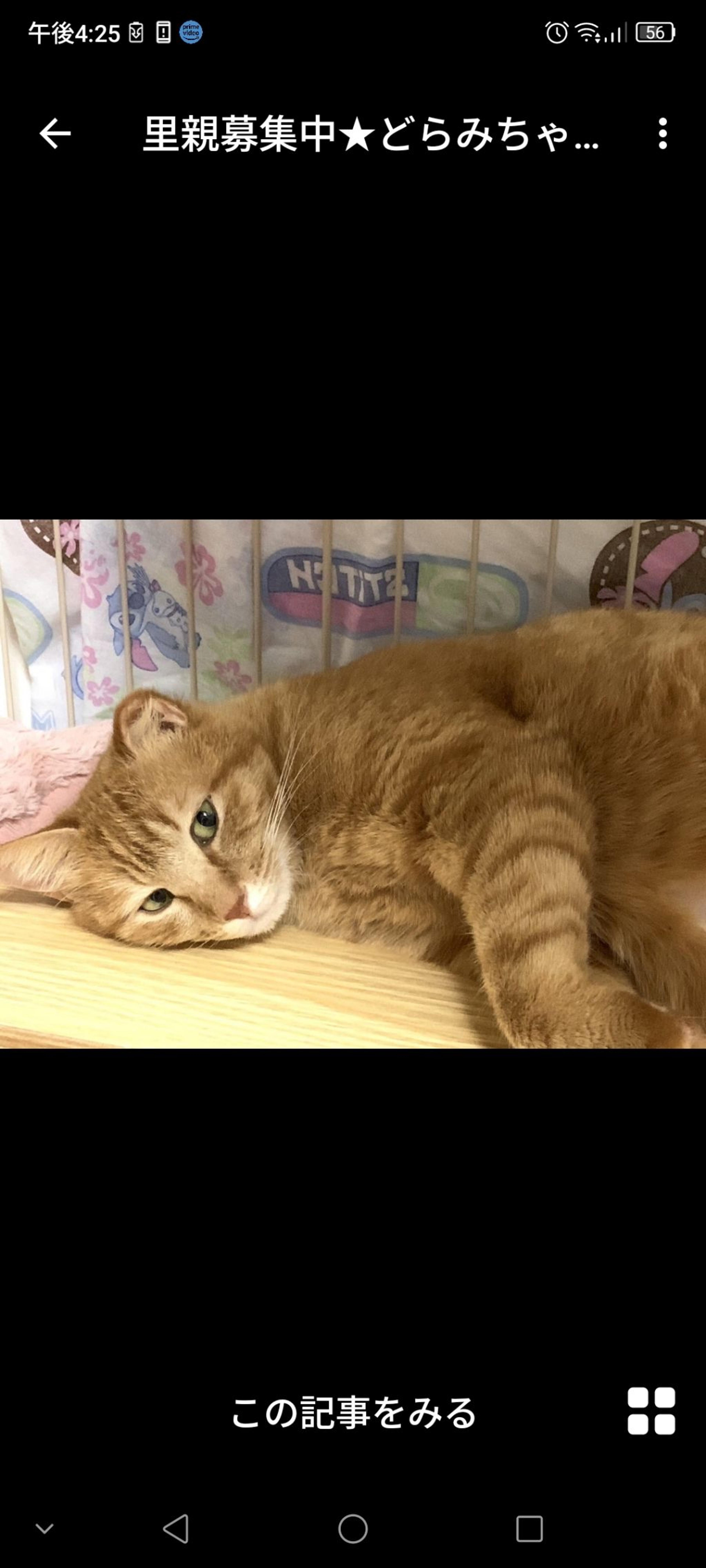 pet-image-3