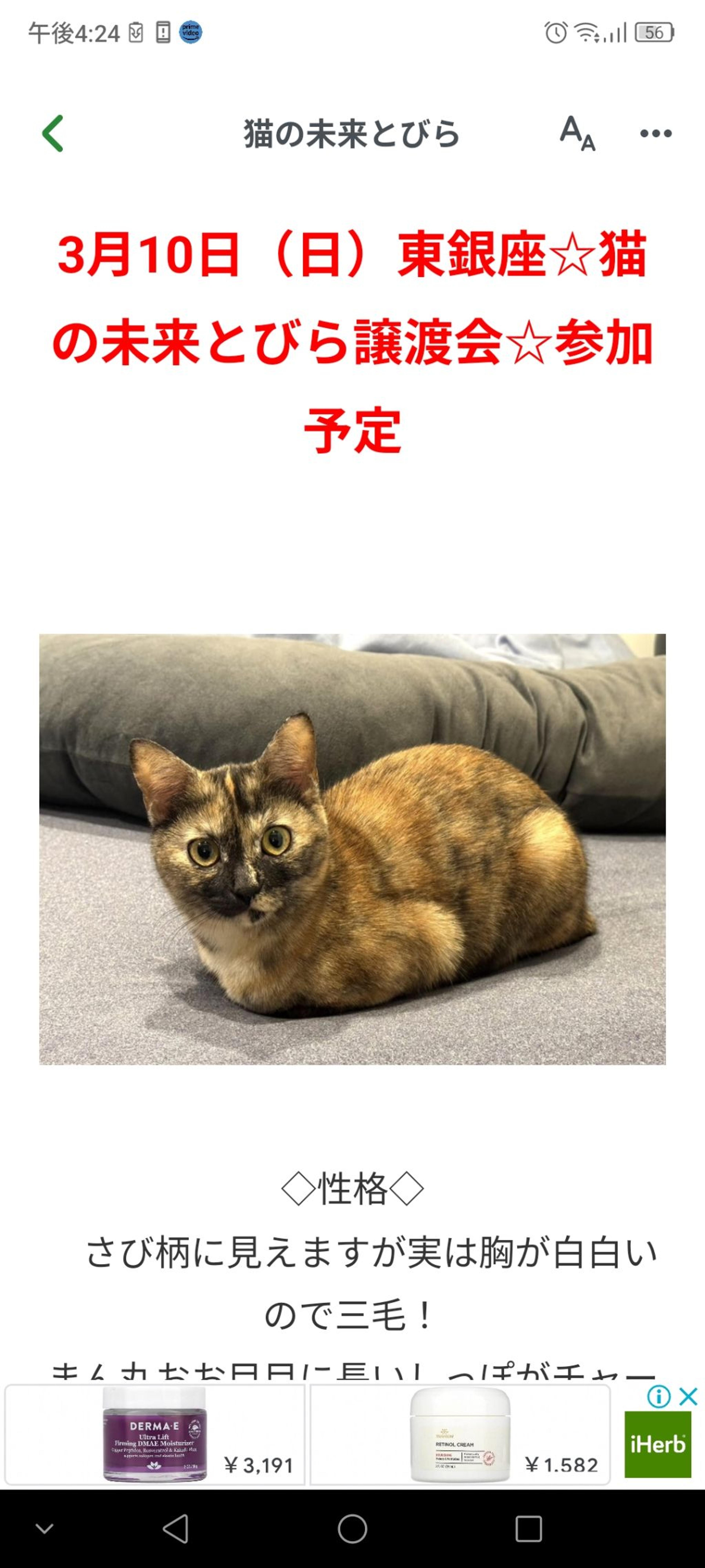 pet-image-2